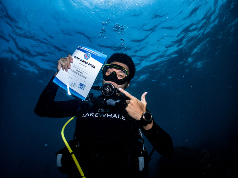 證照課程,水肺潛水,東北角,北海岸,龍洞,PADI,潛水中心,裝備出租中心,場地出租,課程報名,體驗報名,東北角,北海岸,龍洞,PADI,潛水中心,裝備出租中心,場地出租,課程報名,體驗報名