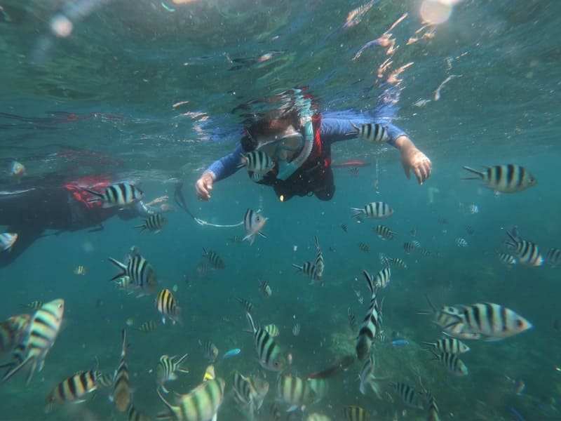 體驗活動,浮潛體驗,東北角,北海岸,龍洞,PADI,潛水中心,裝備出租中心,場地出租,課程報名,體驗報名